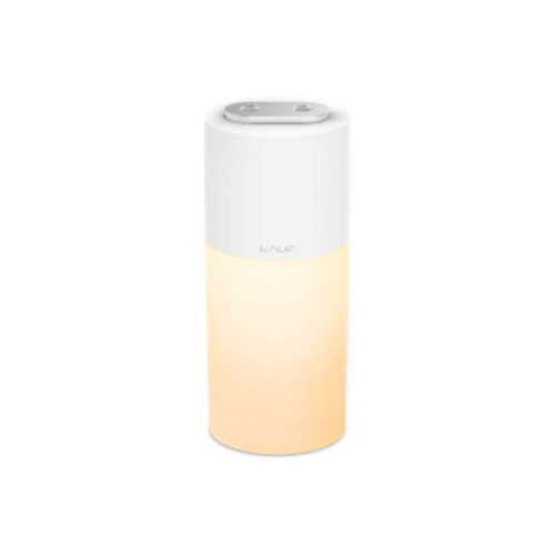 Wireless Mood Light Dual Humidifier