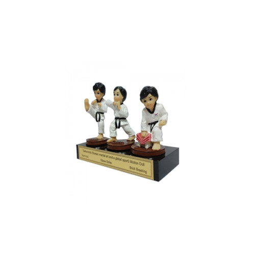 Foreigner recommended gift doll set (Taekwondo)